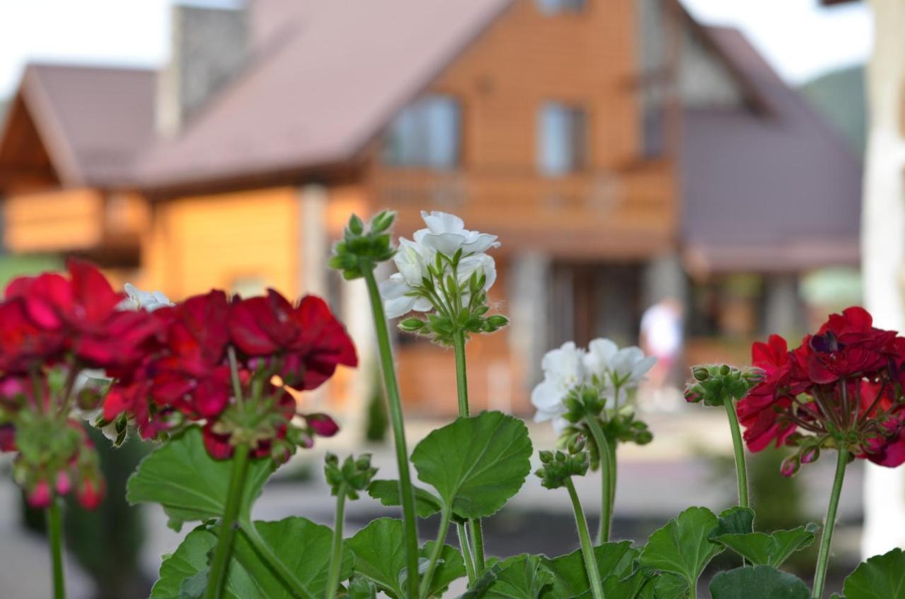 Sribni Rosy Hotel Mykulychyn Buitenkant foto